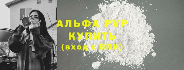 молекула духа Богородицк