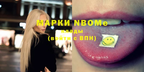 молекула духа Богородицк