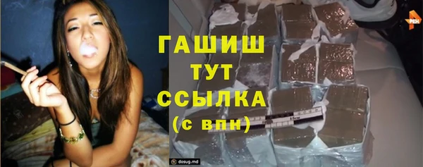 молекула духа Богородицк