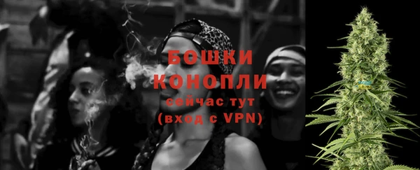молекула духа Богородицк