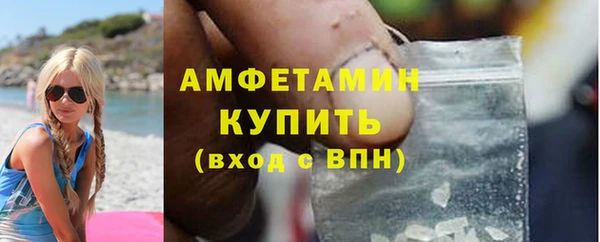 молекула духа Богородицк