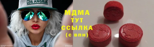 шишки Белокуриха