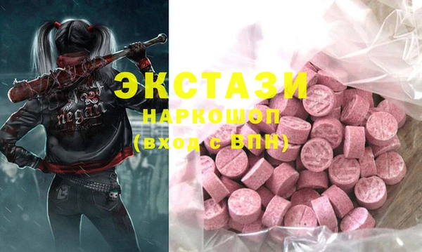 молекула духа Богородицк