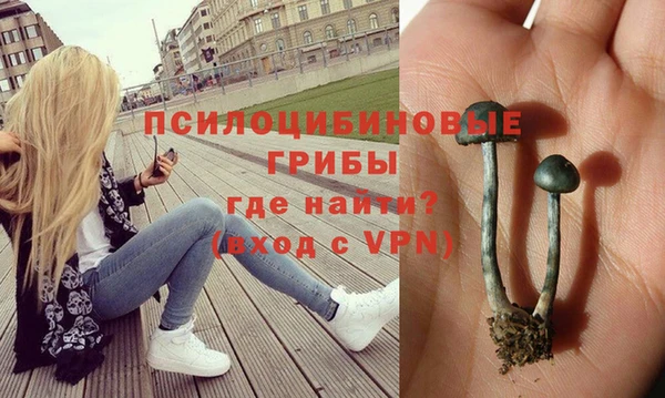 молекула духа Богородицк