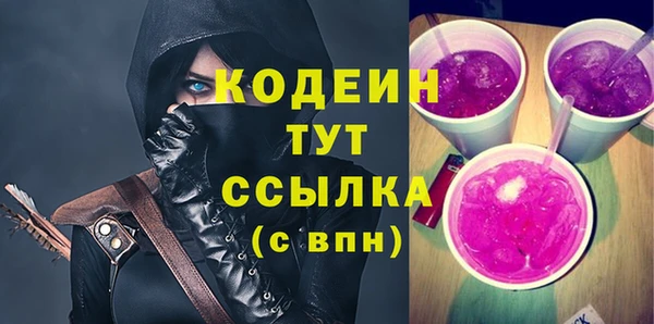молекула духа Богородицк