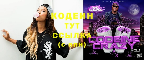 молекула духа Богородицк