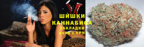 сатива Беломорск