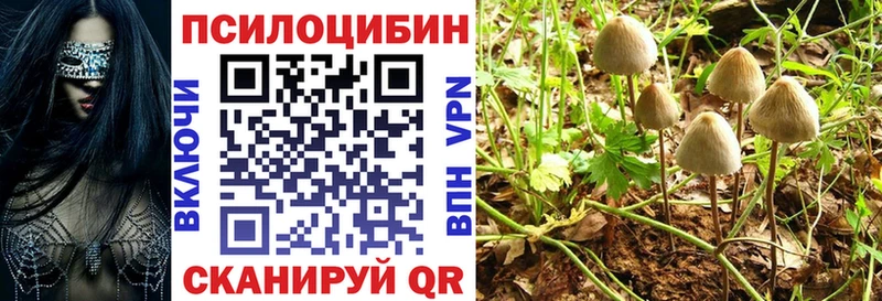купить  сайты  Юрга  Псилоцибиновые грибы мицелий 